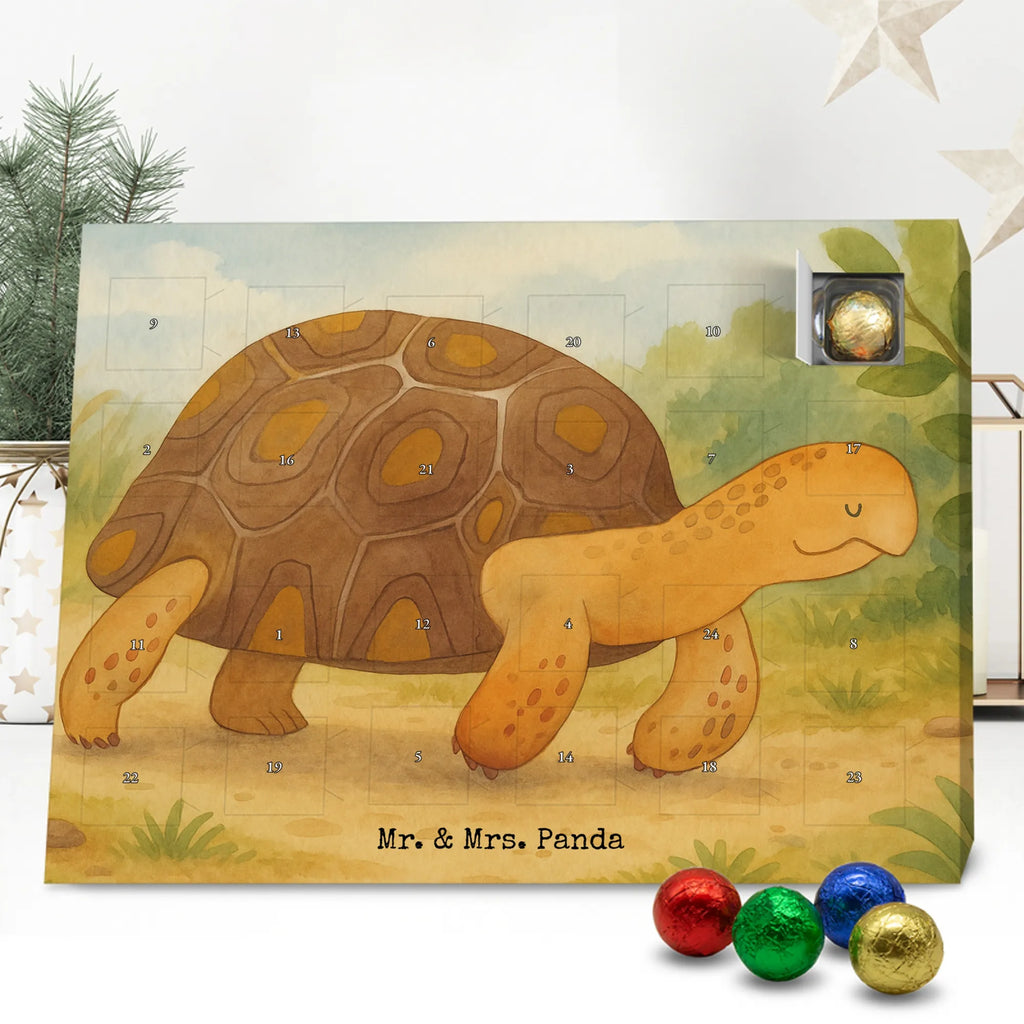 Adventskalender Schildkröte Marschieren Design adventskalender süßigkeiten, süßigkeiten kalender, schokolade adventskalender, kalender schokolade, Schoko Adventskalender, weihnachtskalender schoko, Weihnachtskalender, Schoko-Adventskalender, adventskalender schoko, Weihnachtskalender Schokolade, schokokalender, Schokoladen-Adventskalender, Schokoladen Adventskalender, schoko kalender, Schokoladen-Weihnachtskalender, kalender weihnachten, schokoladenkalender, Adventskalender, süßigkeiten adventskalender, Adventskalender Schokolade, Weihnachten Adventskalender, Weihnachts Kalender, pralinen adventskalender, schoko weihnachtskalender, adventskalender pralinen, schokoladen kalender, Meer, Urlaub, Meerestiere, Reiselust, Abenteuer, Neustart, Schildkröte, Schildkröten, Lieblingsmensch, Inspiration, Motivation, Get Lost