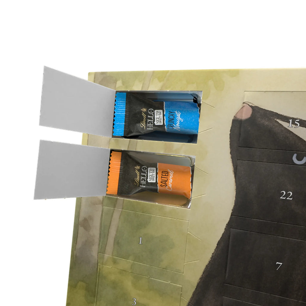 Chocolate advent calendar skunk Sit Design know-it-all, stinky, law, predator, wild animal