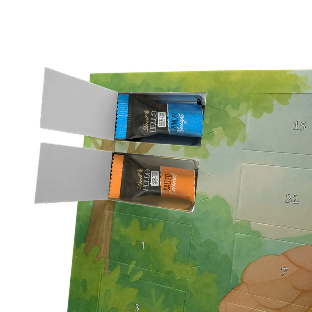 Chocolate advent calendar tortoise walker Design gift, gift ideas, cute, illustrated, tortoise, reptile, ancient creature, sweet, birthday gift, turtle gift items, funny turtle gifts, pet turtles, best friend, sister or daughter, turtle lover, turtles, new beginning, motivational slogan