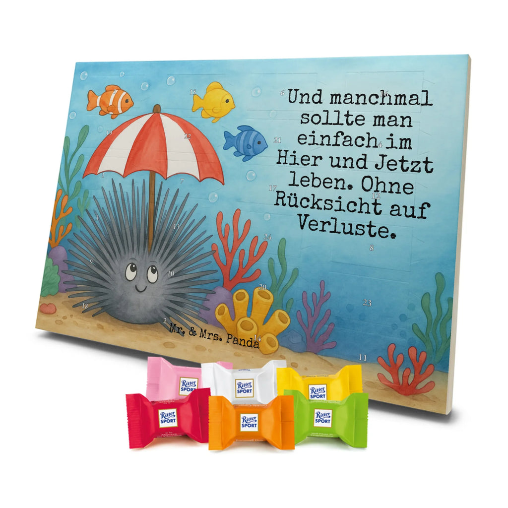  Jeżowiec Design Zwierzeta morskie, Morze, Wakacje