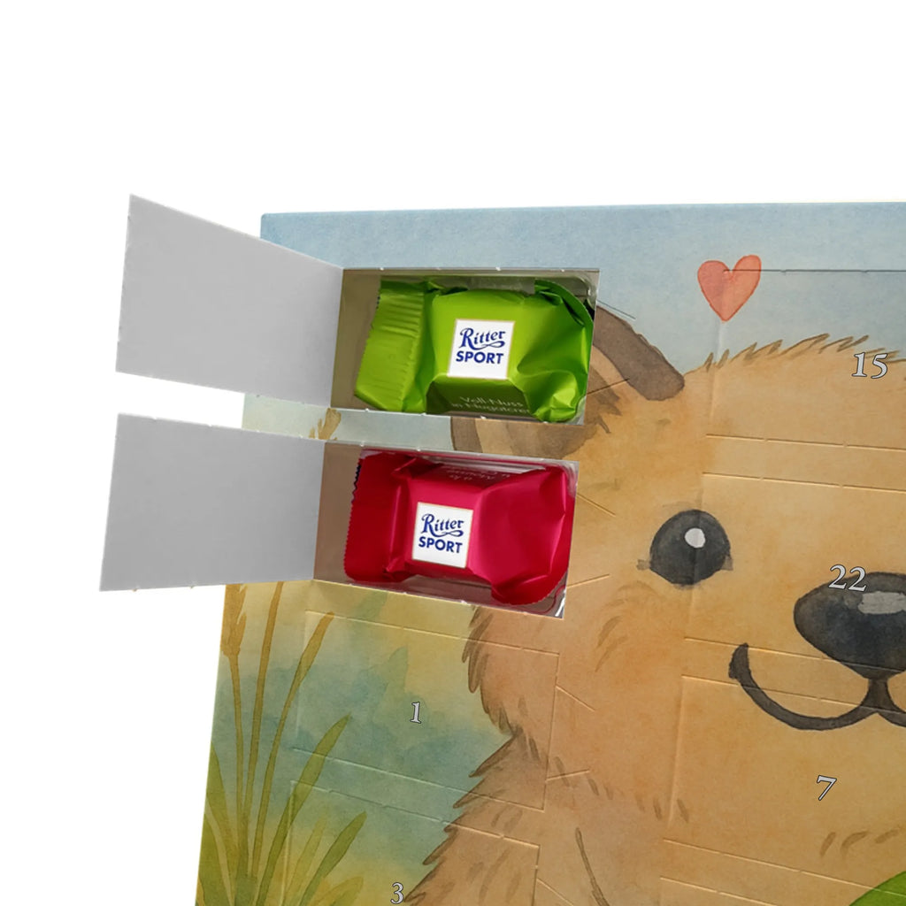 Chocolate advent calendar Quokka Happy Design card, gift ideas, gifts, small animals, cute, cute animal motives, hand drawn, funny sayings, good mood, special gifts, animal lover