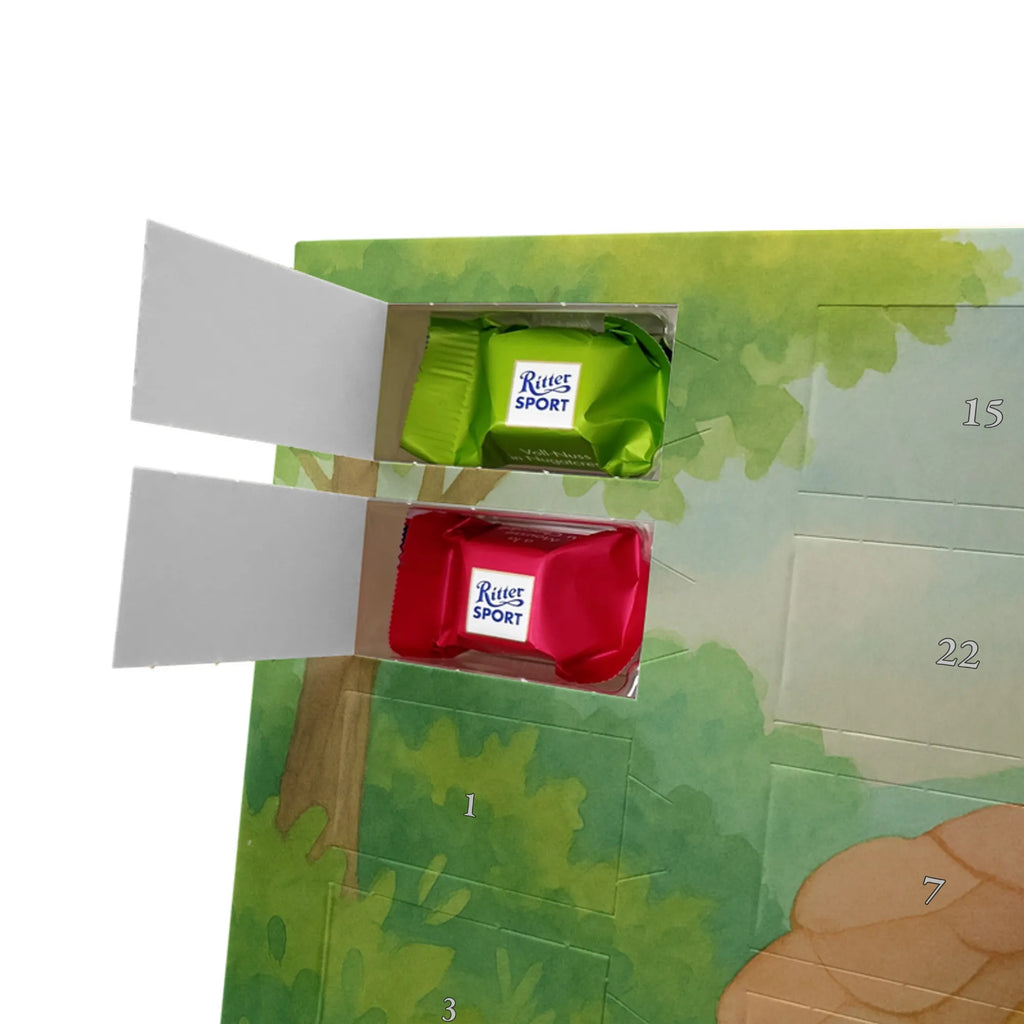 Chocolate advent calendar tortoise walker Design gift, gift ideas, cute, illustrated, tortoise, reptile, ancient creature, sweet, birthday gift, turtle gift items, funny turtle gifts, pet turtles, best friend, sister or daughter, turtle lover, turtles, new beginning, motivational slogan