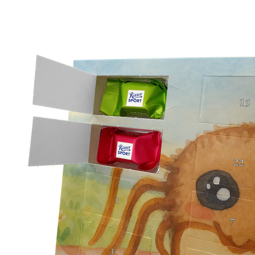 Chocolate advent calendar Spider Agathe Sandwich Design Spider Agathe, Spider