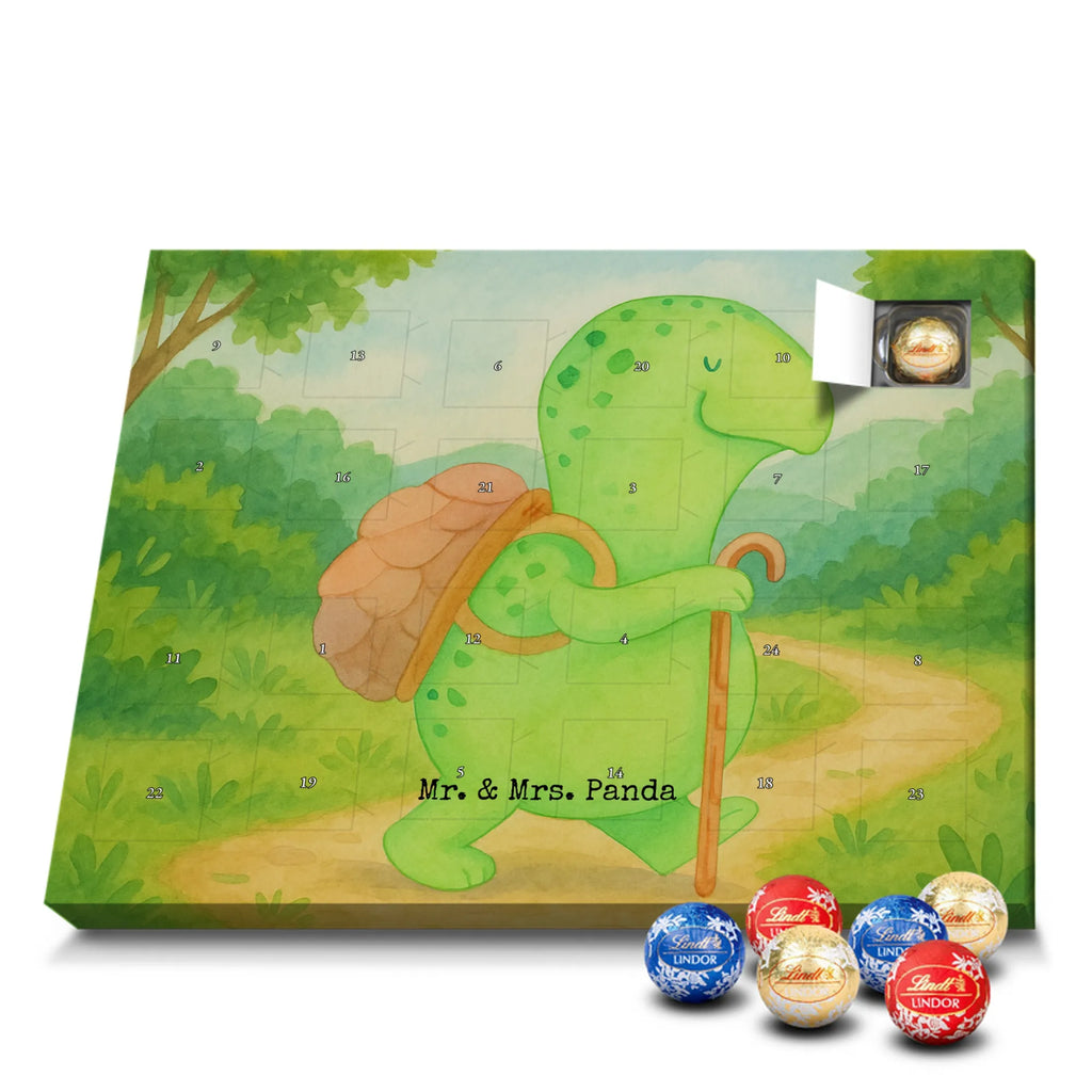 Chocolate advent calendar tortoise walker Design gift, gift ideas, cute, illustrated, tortoise, reptile, ancient creature, sweet, birthday gift, turtle gift items, funny turtle gifts, pet turtles, best friend, sister or daughter, turtle lover, turtles, new beginning, motivational slogan