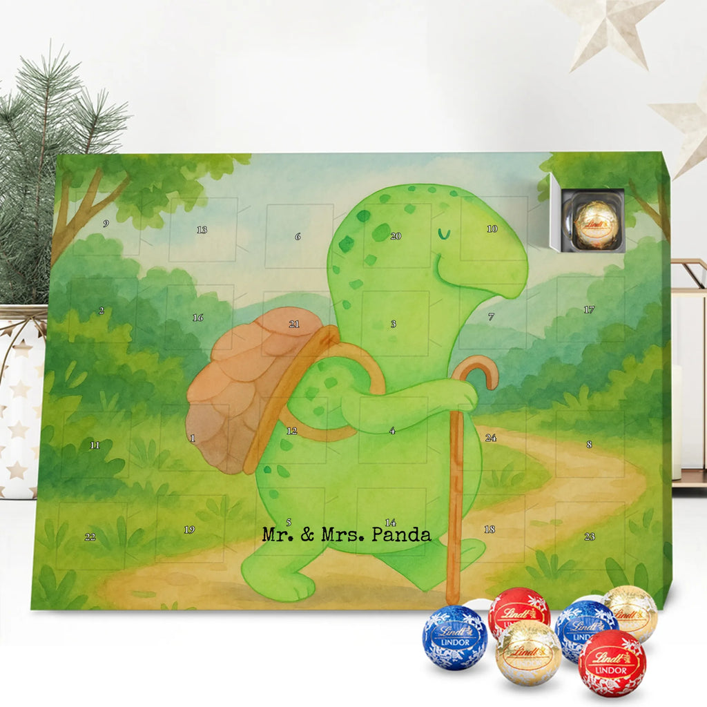 Chocolate advent calendar tortoise walker Design gift, gift ideas, cute, illustrated, tortoise, reptile, ancient creature, sweet, birthday gift, turtle gift items, funny turtle gifts, pet turtles, best friend, sister or daughter, turtle lover, turtles, new beginning, motivational slogan