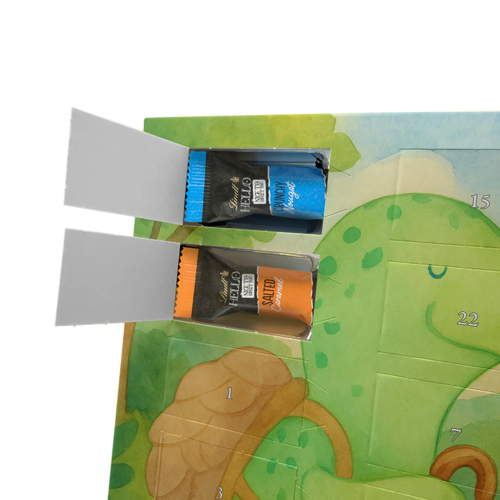 Chocolate advent calendar tortoise walker Design gift, gift ideas, cute, illustrated, tortoise, reptile, ancient creature, sweet, birthday gift, turtle gift items, funny turtle gifts, pet turtles, best friend, sister or daughter, turtle lover, turtles, new beginning, motivational slogan