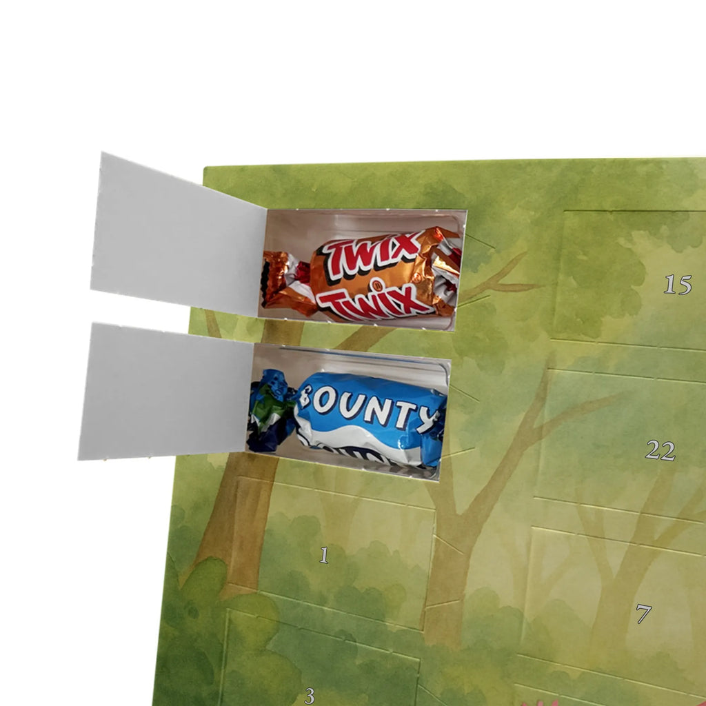 Chocolate advent calendar axolotl Dance Design Axelotl, marine animals, Mexican walking fish, salamander, girlfriend, stars, amphibians, tailfish, roof damage, best friend