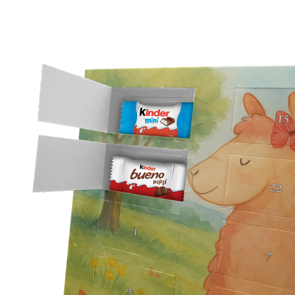 Chocolate advent calendar alpaca Proud Design alpaca, animal, llama, pako, camel, Peru, favourite animal