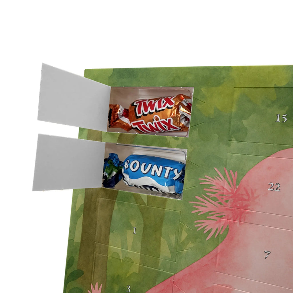 Chocolate advent calendar axolotl Dance Design Axelotl, marine animals, Mexican walking fish, salamander, girlfriend, stars, amphibians, tailfish, roof damage, best friend