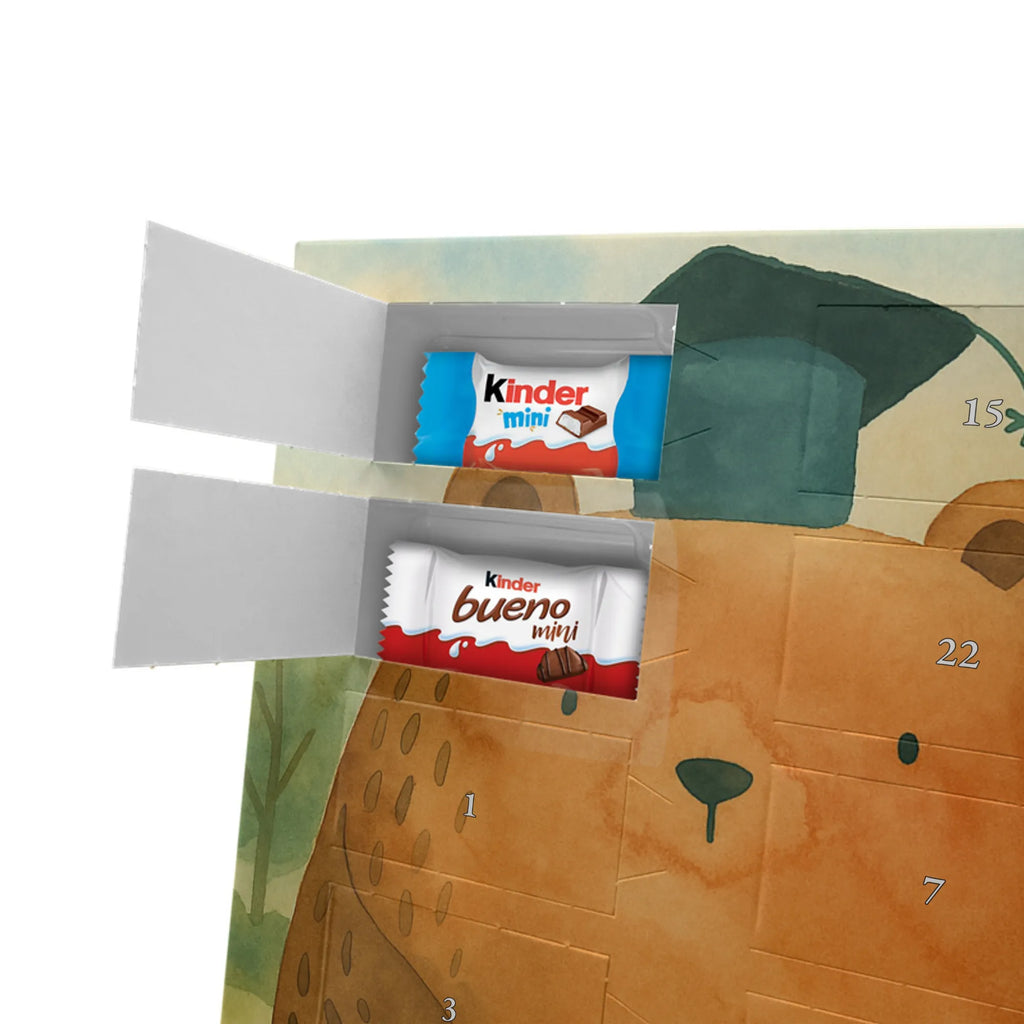 Chocolate advent calendar bear Test Design teddy bear, cuddly toy, diploma, degree, certificate, examinations, examination passed