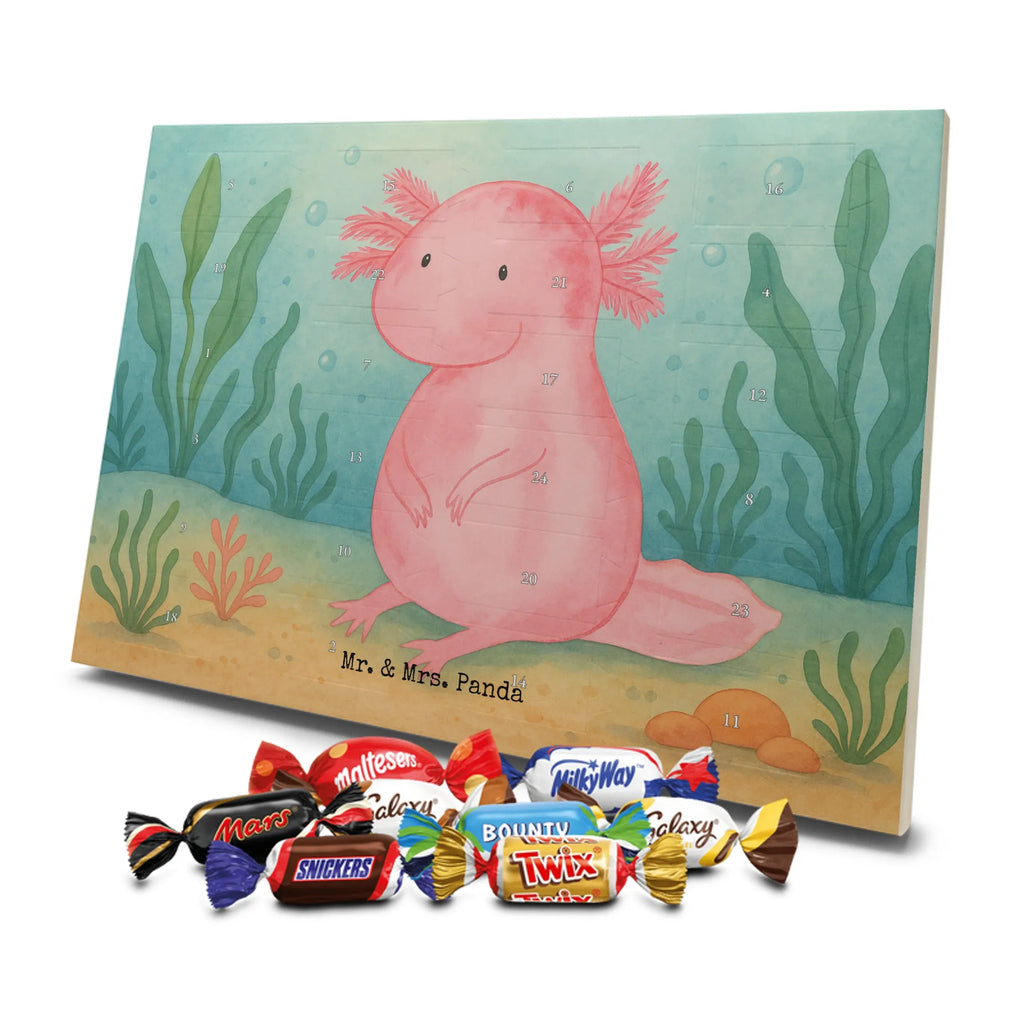 Chocolate advent calendar axolotl zero Design Axelotl, marine animals, Mexican walking fish, salamander, wisdom, worldly wisdom, contented, cheerful, lifestyle, girlfriend