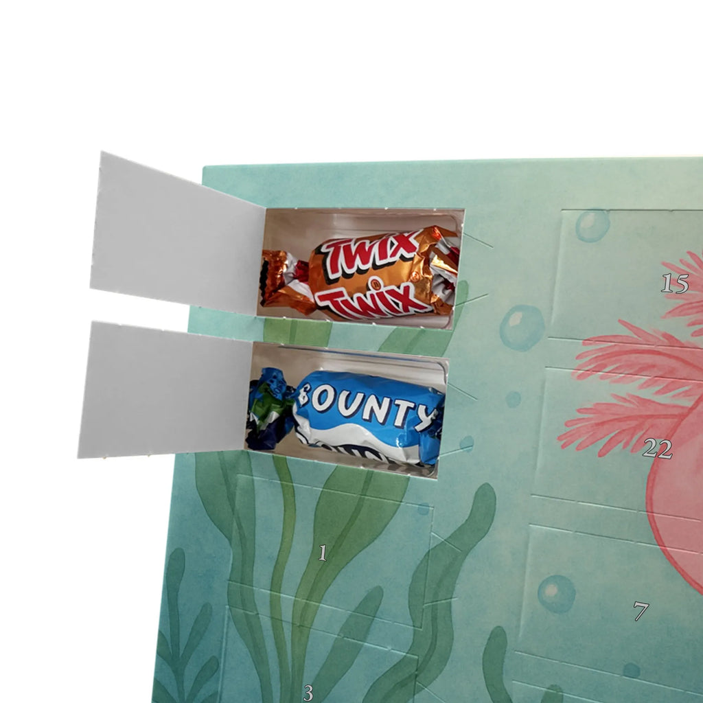 Chocolate advent calendar axolotl zero Design Axelotl, marine animals, Mexican walking fish, salamander, wisdom, worldly wisdom, contented, cheerful, lifestyle, girlfriend