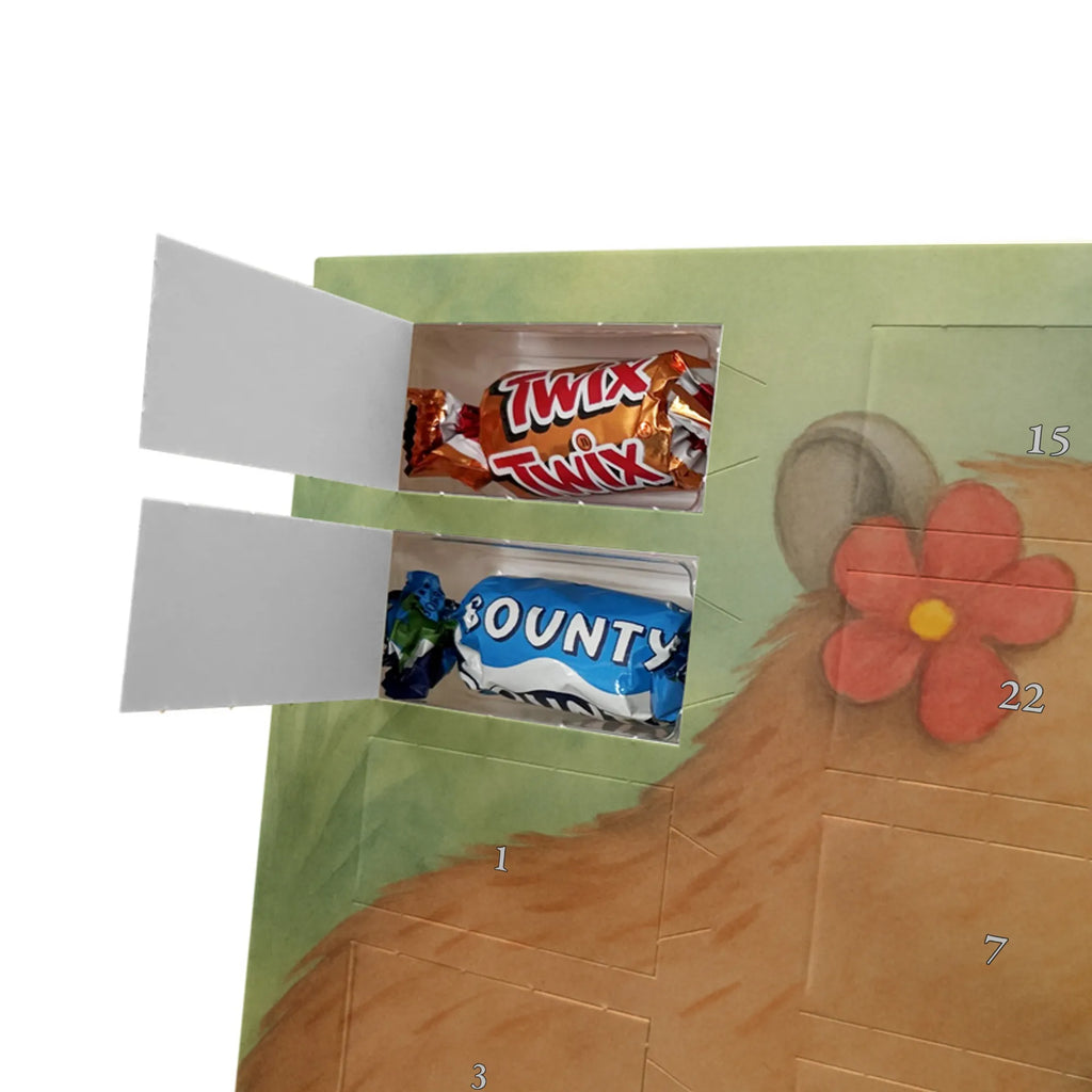 Schokoladen Adventskalender Capybara Blume Design Weihnachtskalender, adventskalender mit schokolade, pralinen adventskalender, adventskalender süßigkeiten, schokokalender, schoko kalender, advent kalender, weihnachtskalender schoko, adventskalender mit süßigkeiten, Adventskalender, Adventskalender Schokolade, süßigkeiten adventskalender, Schoko Adventskalender, schoko weihnachtskalender, adventskalender pralinen, Schokoladen Adventskalender, schokoladenkalender, süßigkeiten kalender, kalender schokolade, schokolade adventskalender, adventskalender mit pralinen, Weihnachtskalender Schokolade, schokoladen kalender, Tiere, Tiermotive, Lustige Sprüche, Gute Laune, Capybara