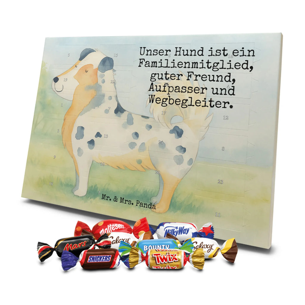 Chocolate advent calendar Dog Australia Shepherd Design hound, dog sayings, gifts for dogs, Christmas gifts for dogs, what do you give a dog lover, funny gifts for dog owners, bag with dog print, dog decorative items, love for dogs, dog breed, love dogs, dog mama, mutt, woof, Family dog, Saying, Sayings, Australia Shepherd, Dog love