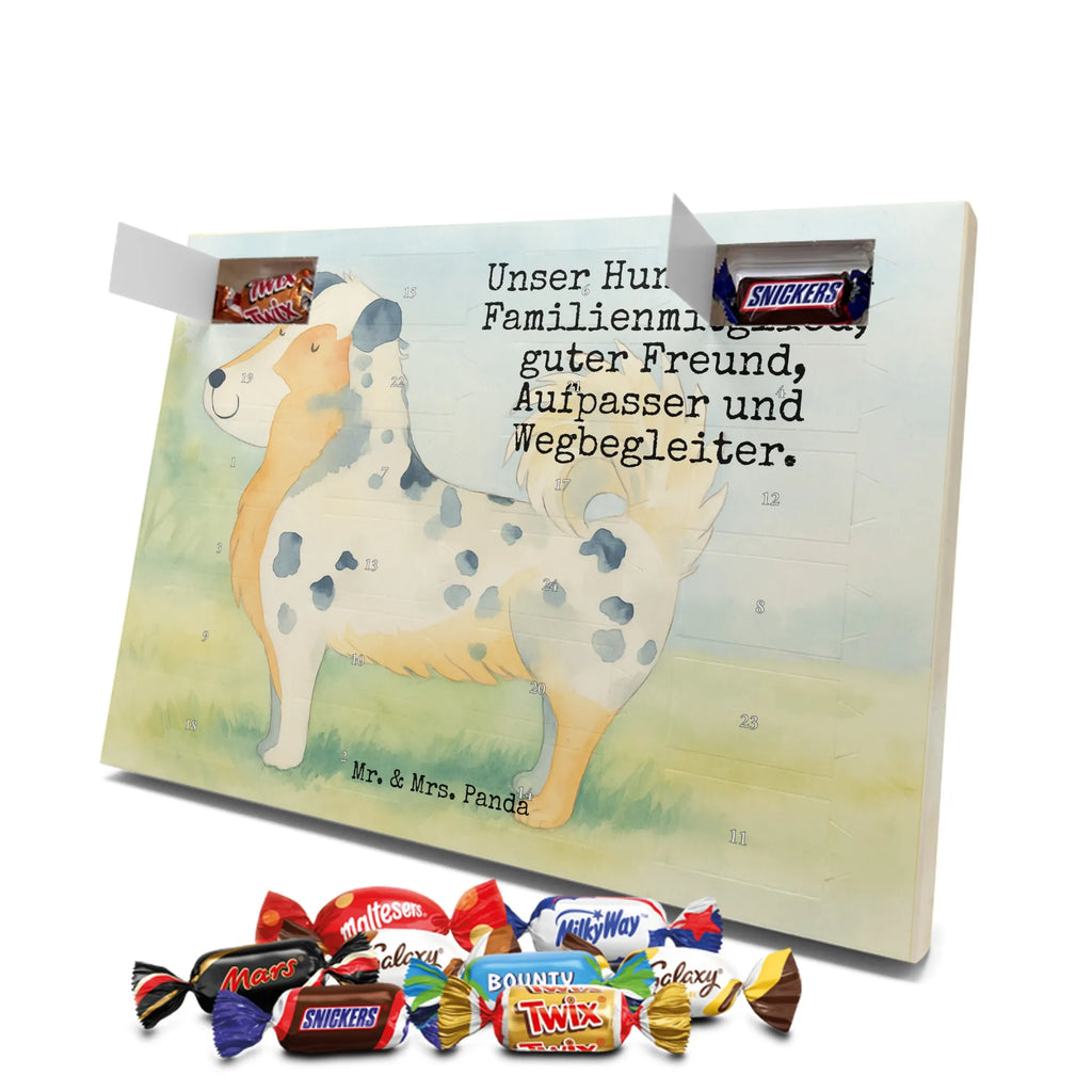 Chocolate advent calendar Dog Australia Shepherd Design hound, dog sayings, gifts for dogs, Christmas gifts for dogs, what do you give a dog lover, funny gifts for dog owners, bag with dog print, dog decorative items, love for dogs, dog breed, love dogs, dog mama, mutt, woof, Family dog, Saying, Sayings, Australia Shepherd, Dog love
