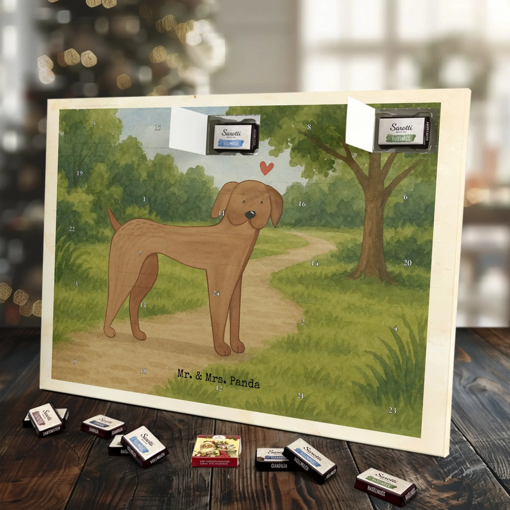 Chocolate advent calendar Dog mastiff Design dog breed, mutt, hound, woof, dog mama, love dogs, love for dogs, dog decorative items, bag with dog print, funny gifts for dog owners, what do you give a dog lover, Christmas gifts for dogs, gifts for dogs, dog sayings, Dogs