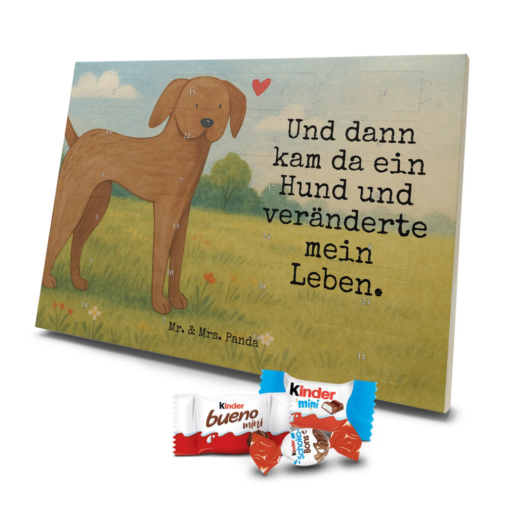 Chocolate advent calendar Dog mastiff Design dog breed, mutt, hound, woof, dog mama, love dogs, love for dogs, dog decorative items, bag with dog print, funny gifts for dog owners, what do you give a dog lover, Christmas gifts for dogs, gifts for dogs, dog sayings, Dogs