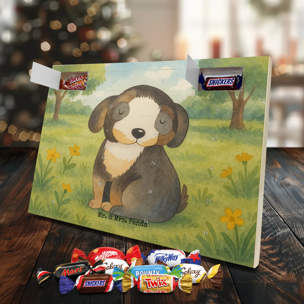 Chocolate advent calendar Dog Relax Design dog breed, mutt, hound, woof, dog mama, love dogs, love for dogs, dog decorative items, bag with dog print, funny gifts for dog owners, what do you give a dog lover, Christmas gifts for dogs, gifts for dogs, dog sayings, dog happiness, dog love, black dog