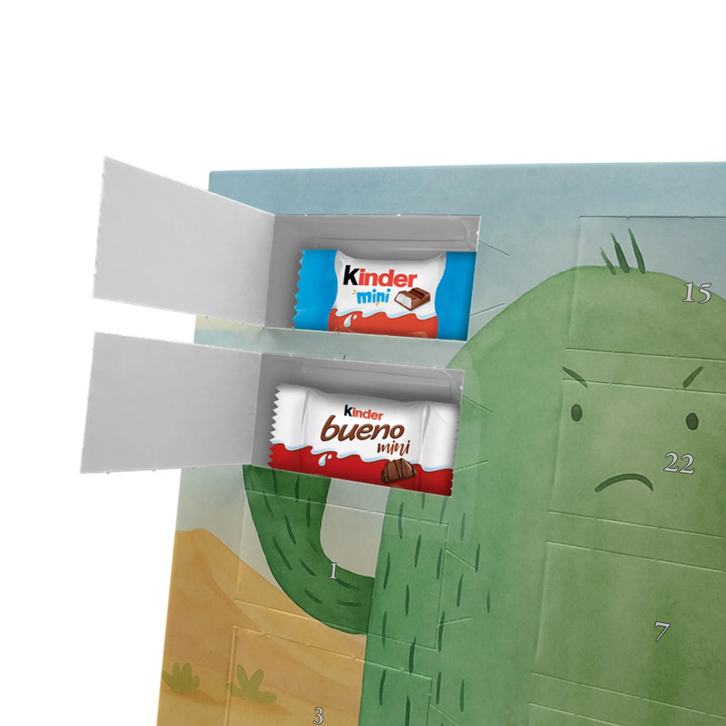 Chocolate advent calendar cactus Fury Design cactus, cactuses, plants, cactus plant, small green cactus, school, annoy, office life, colleague, angry