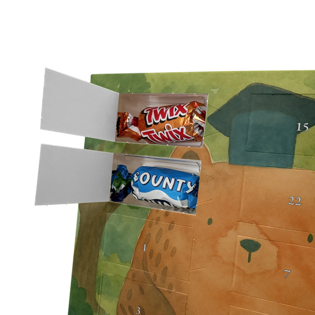 Chocolate advent calendar bear Test Design teddy bear, cuddly toy, diploma, degree, certificate, examinations, examination passed