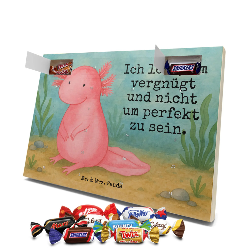 Chocolate advent calendar axolotl zero Design Axelotl, marine animals, Mexican walking fish, salamander, wisdom, worldly wisdom, contented, cheerful, lifestyle, girlfriend