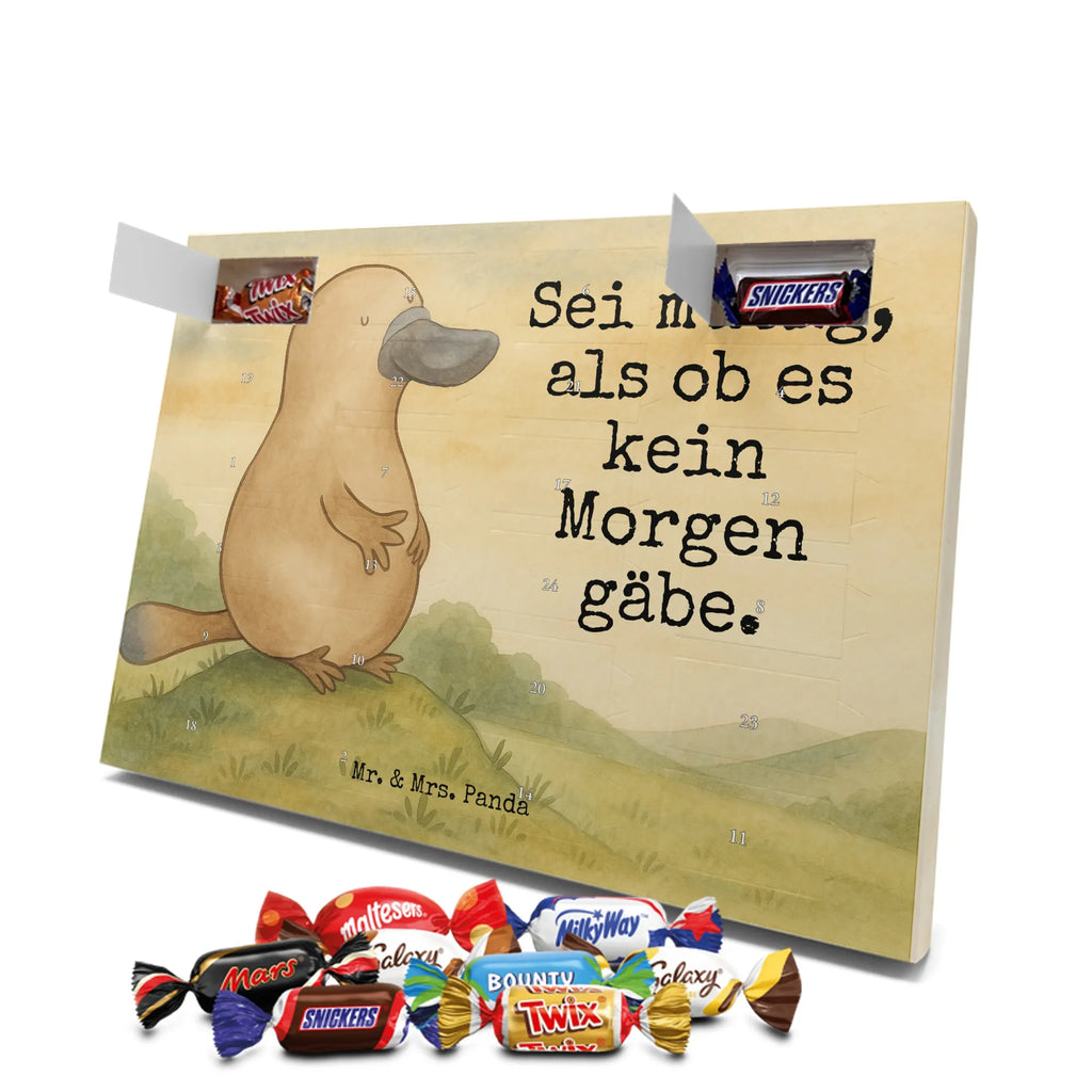 Schoko Adventskalender Schnabeltier Mut Design schokoladen kalender, schokoladenkalender, adventskalender mit süßigkeiten, Schokoladen Adventskalender, süßigkeiten kalender, adventskalender mit schokolade, Adventskalender, Weihnachtskalender Schokolade, schokokalender, pralinen adventskalender, adventskalender süßigkeiten, süßigkeiten adventskalender, schokolade adventskalender, kalender schokolade, Weihnachtskalender, weihnachtskalender schoko, Schoko Adventskalender, adventskalender mit pralinen, Adventskalender Schokolade, schoko kalender, advent kalender, schoko weihnachtskalender, adventskalender pralinen, Meerestiere, Urlaub, Meer, Arbeit, Neustart, Weltreise, Büro, mutig, Schnabeltiere, Lebensweisheit, Training, Motivation, Neuanfang, Raodtrip, Schnabeltier, Mut