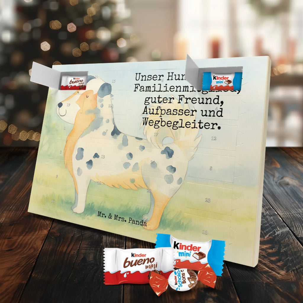 Chocolate advent calendar Dog Australia Shepherd Design hound, dog sayings, gifts for dogs, Christmas gifts for dogs, what do you give a dog lover, funny gifts for dog owners, bag with dog print, dog decorative items, love for dogs, dog breed, love dogs, dog mama, mutt, woof, Family dog, Saying, Sayings, Australia Shepherd, Dog love