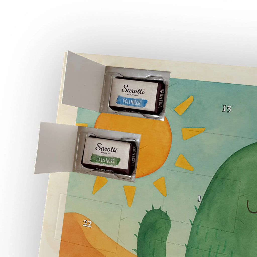 Chocolate advent calendar cactus Sun Design cactus, cactuses, plants, cactus plant, small green cactus, new start, divorce, separation, lovesickness, lovesickness gift, love cactus love, gift idea, adultery, sun, girlfriend