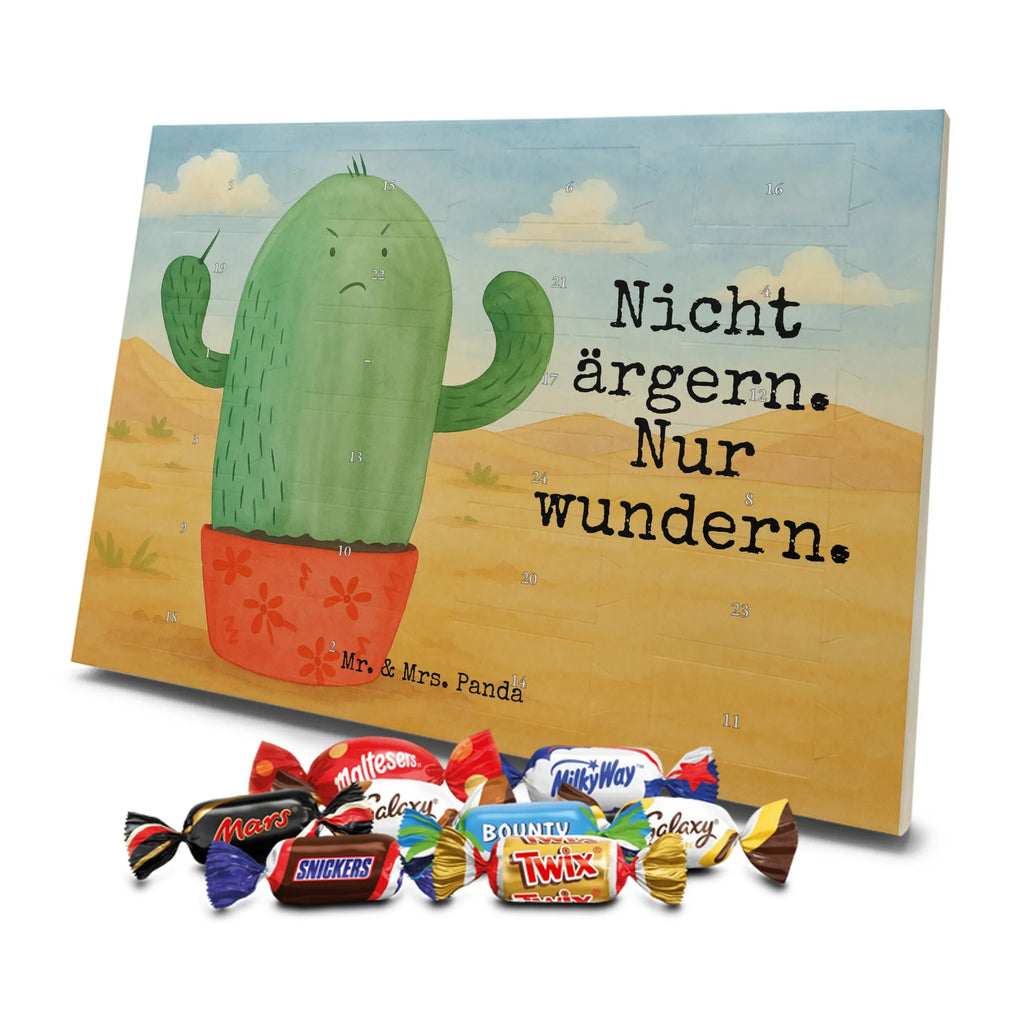 Chocolate advent calendar cactus Fury Design cactus, cactuses, plants, cactus plant, small green cactus, school, annoy, office life, colleague, angry