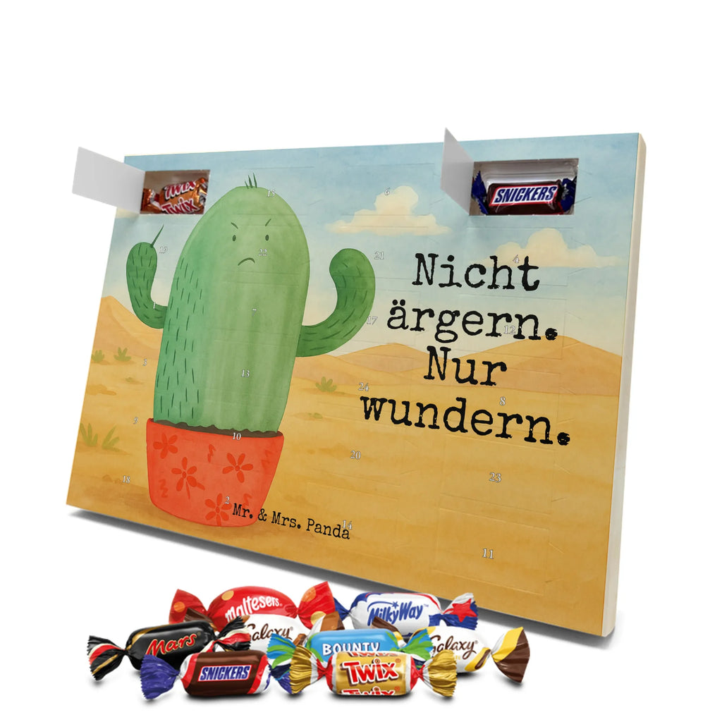 Chocolate advent calendar cactus Fury Design cactus, cactuses, plants, cactus plant, small green cactus, school, annoy, office life, colleague, angry