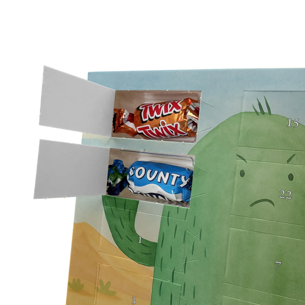 Chocolate advent calendar cactus Fury Design cactus, cactuses, plants, cactus plant, small green cactus, school, annoy, office life, colleague, angry