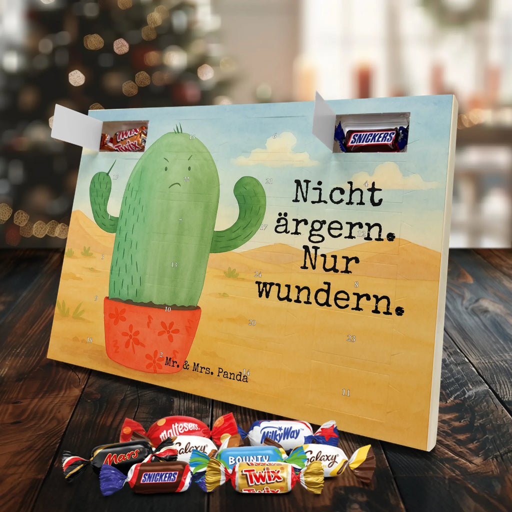 Chocolate advent calendar cactus Fury Design cactus, cactuses, plants, cactus plant, small green cactus, school, annoy, office life, colleague, angry