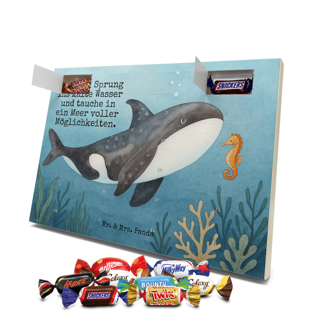 Chocolate advent calendar Orca Design gift ideas, vacation, Seafood, aquatic animals, ocean, shells, corals, reef, whale, narwhal, sea urchin, lobster, platypus, manatee, crocodile, shrimp, gifts for seafood lovers, water world, underwater animals, underwater world, deep sea, seafood fans, seafood decoration, seafood posters, killer whale, self-love, work, new start, opportunities