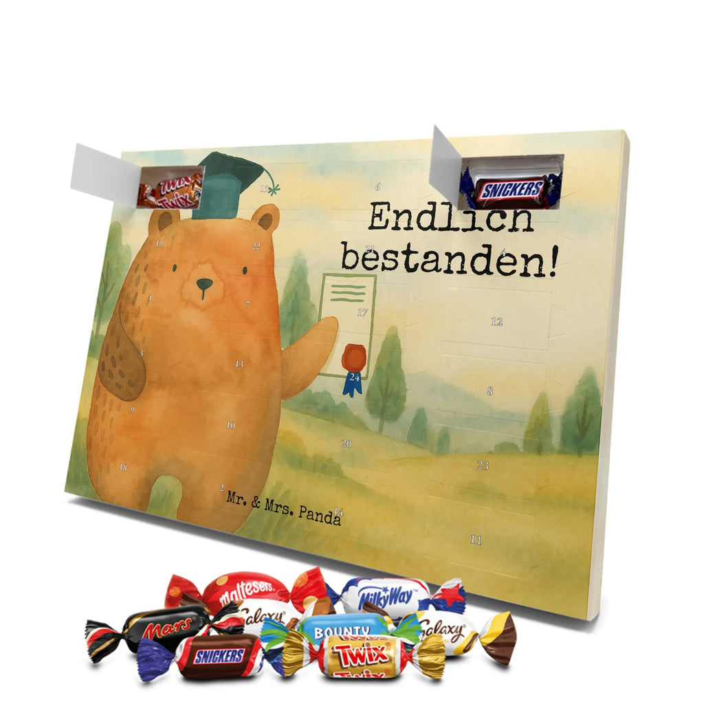 Chocolate advent calendar bear Test Design teddy bear, cuddly toy, diploma, degree, certificate, examinations, examination passed
