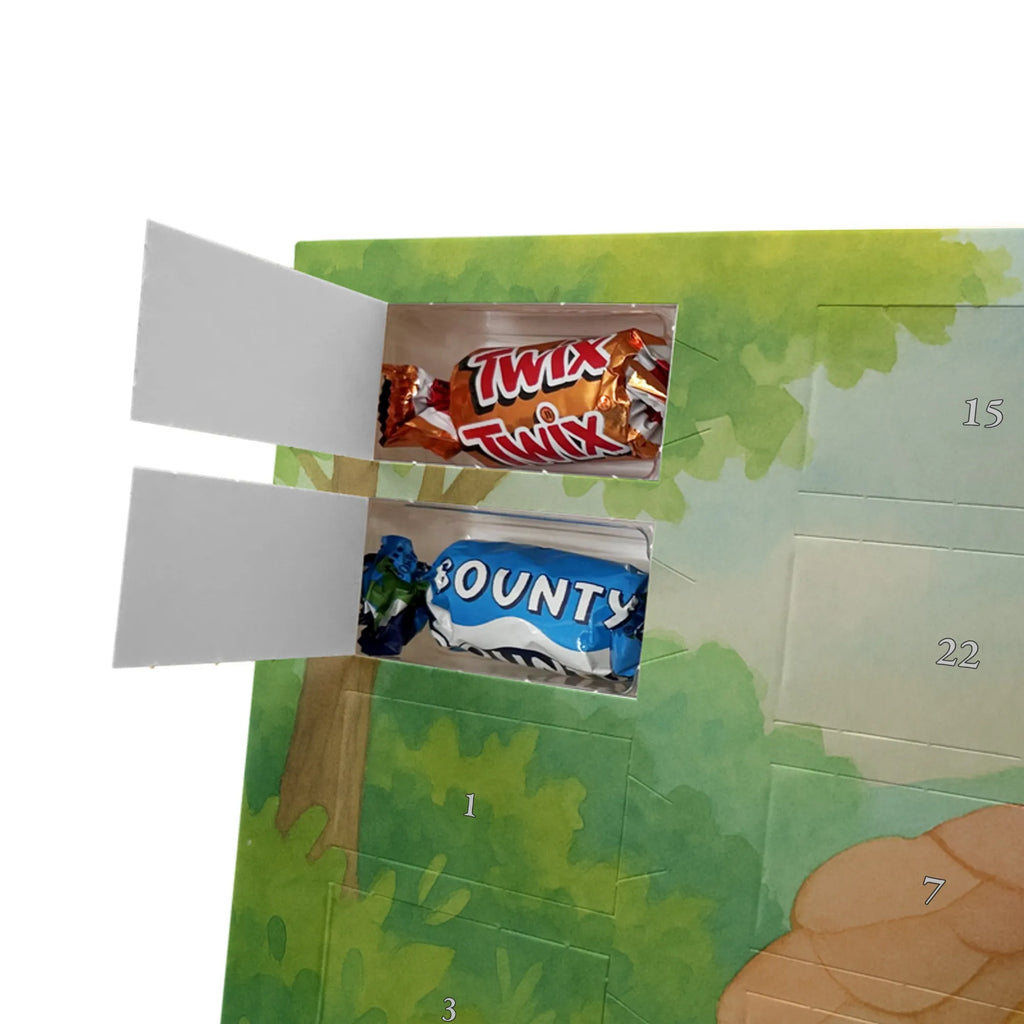 Chocolate advent calendar tortoise walker Design gift, gift ideas, cute, illustrated, tortoise, reptile, ancient creature, sweet, birthday gift, turtle gift items, funny turtle gifts, pet turtles, best friend, sister or daughter, turtle lover, turtles, new beginning, motivational slogan