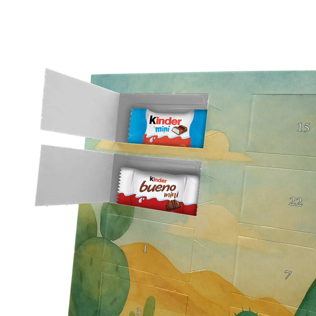 Chocolate advent calendar cactus Sun Design cactus, cactuses, plants, cactus plant, small green cactus, new start, divorce, separation, lovesickness, lovesickness gift, love cactus love, gift idea, adultery, sun, girlfriend