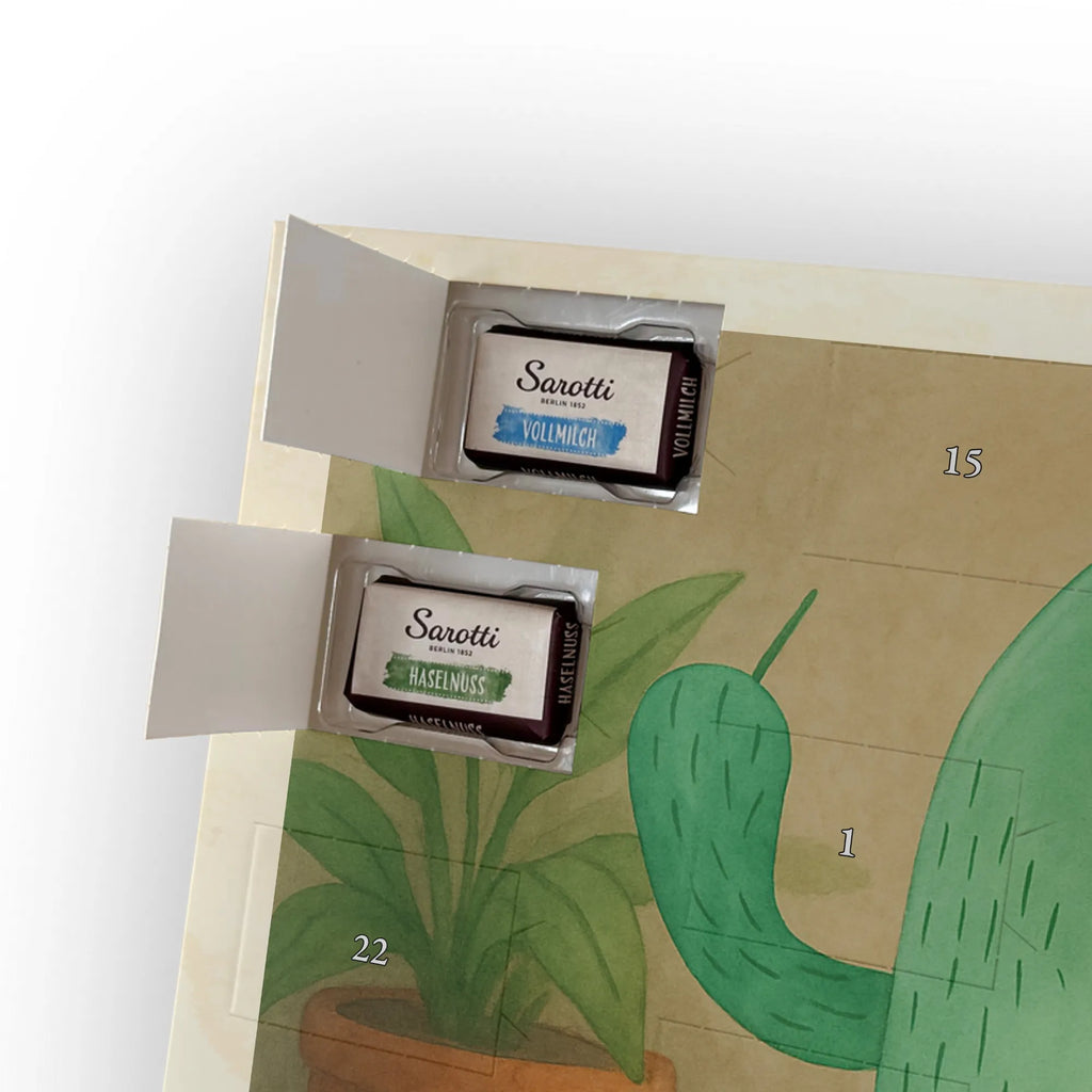 Chocolate advent calendar cactus Fury Design cactus, cactuses, plants, cactus plant, small green cactus, school, annoy, office life, colleague, angry