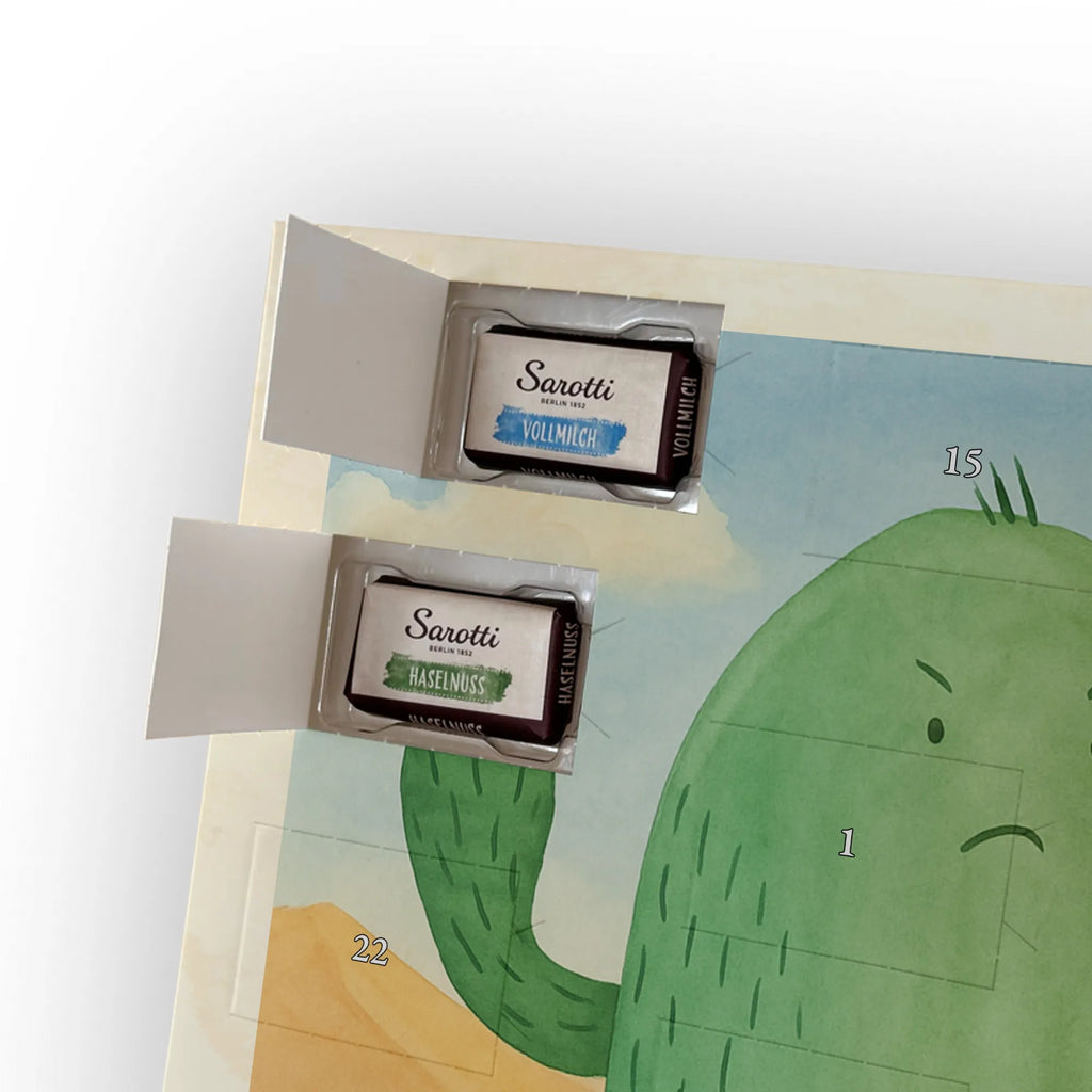 Chocolate advent calendar cactus Fury Design cactus, cactuses, plants, cactus plant, small green cactus, school, annoy, office life, colleague, angry