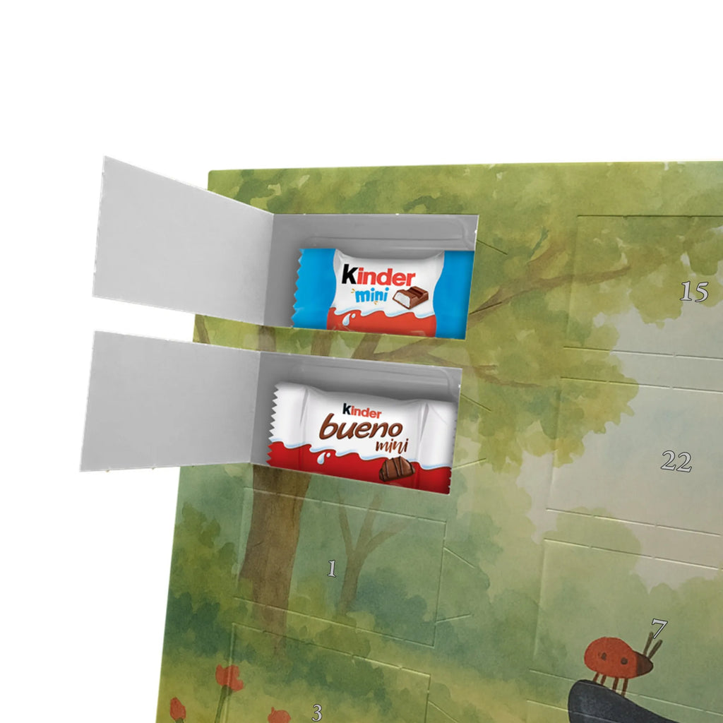 Chocolate advent calendar Penguin ladybug Design North Pole, Penguins, joy of life, ladybird, joy, wonder, penguins