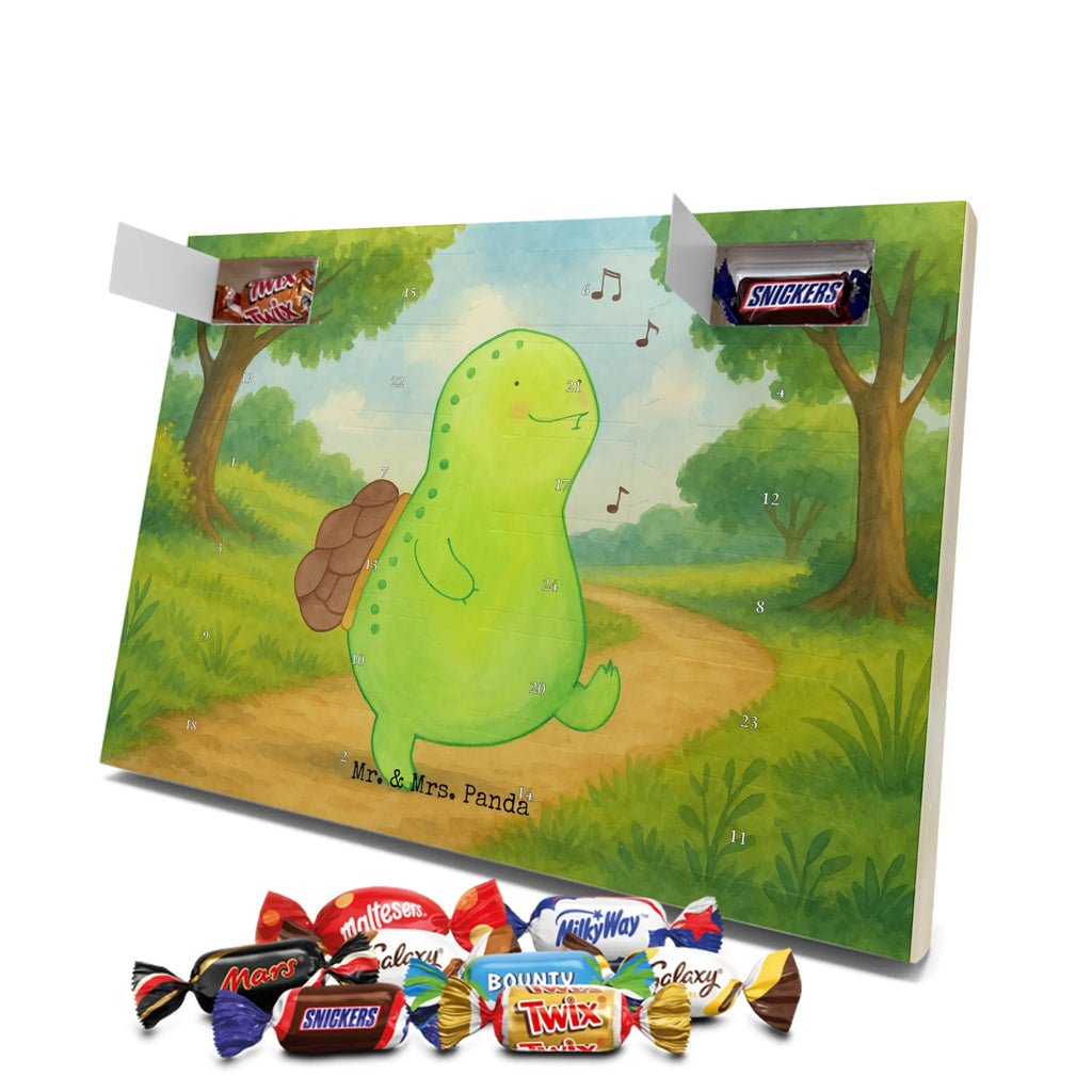 Chocolate advent calendar tortoise Pipes Design gift, gift ideas, cute, illustrated, tortoise, reptile, ancient creature, sweet, birthday gift, turtle gift items, funny turtle gifts, pet turtles, best friend, sister or daughter, turtle lover, new beginning, joy of life, separation, turtles