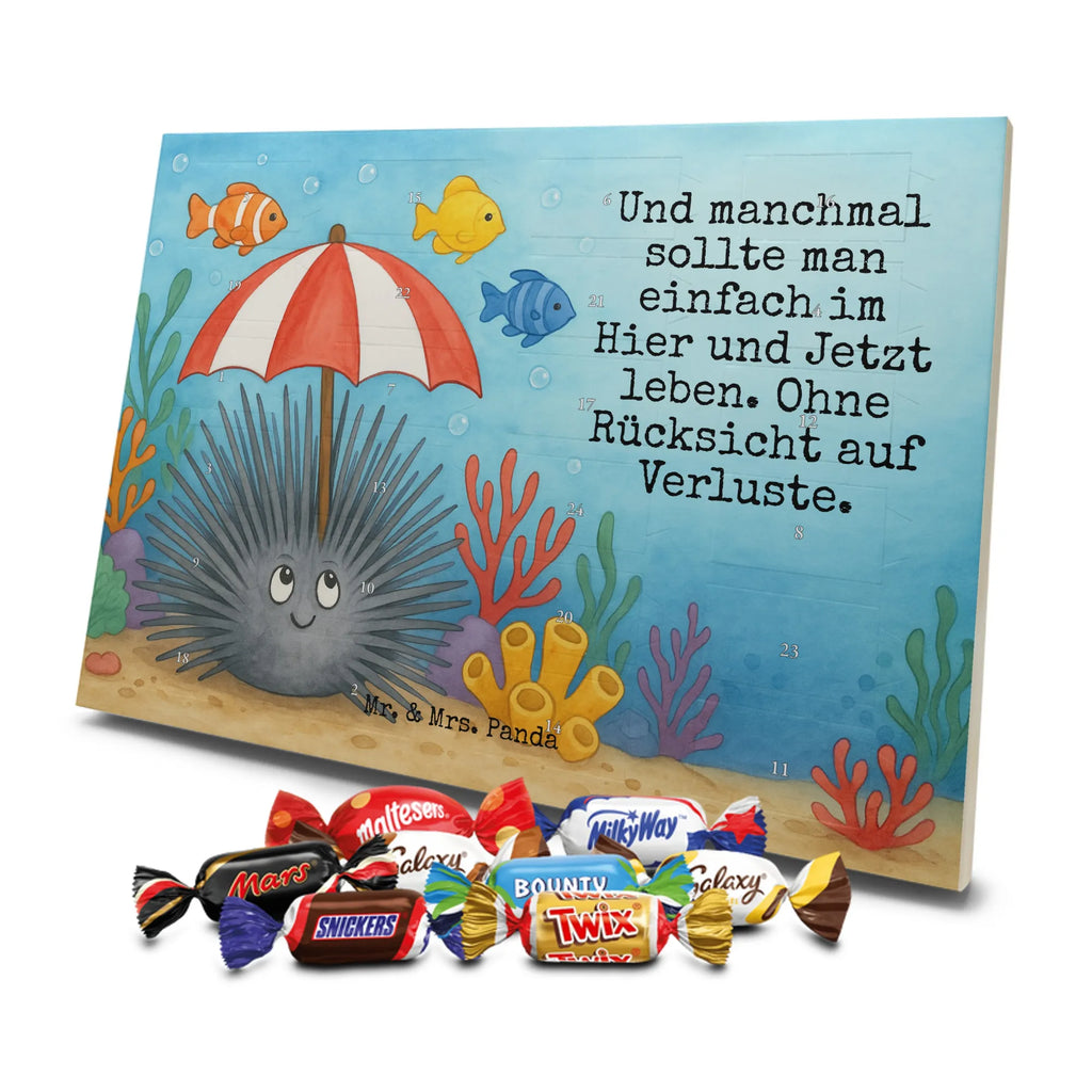  Jeżowiec Design Zwierzeta morskie, Morze, Wakacje