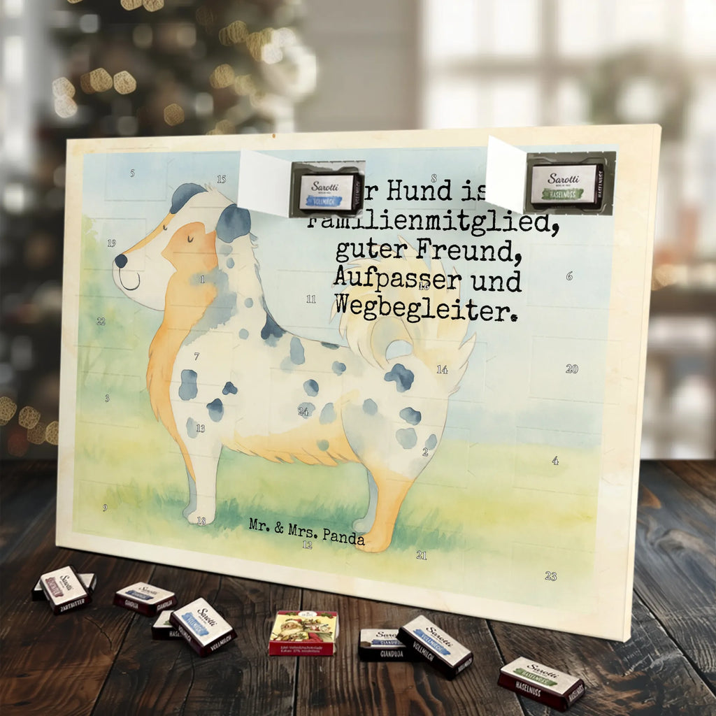 Chocolate advent calendar Dog Australia Shepherd Design hound, dog sayings, gifts for dogs, Christmas gifts for dogs, what do you give a dog lover, funny gifts for dog owners, bag with dog print, dog decorative items, love for dogs, dog breed, love dogs, dog mama, mutt, woof, Family dog, Saying, Sayings, Australia Shepherd, Dog love