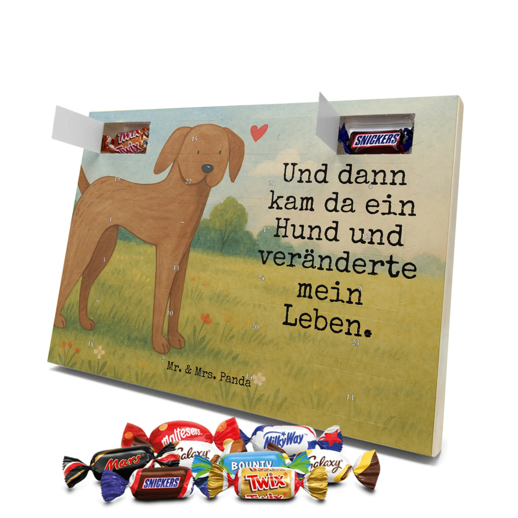Chocolate advent calendar Dog mastiff Design dog breed, mutt, hound, woof, dog mama, love dogs, love for dogs, dog decorative items, bag with dog print, funny gifts for dog owners, what do you give a dog lover, Christmas gifts for dogs, gifts for dogs, dog sayings, Dogs