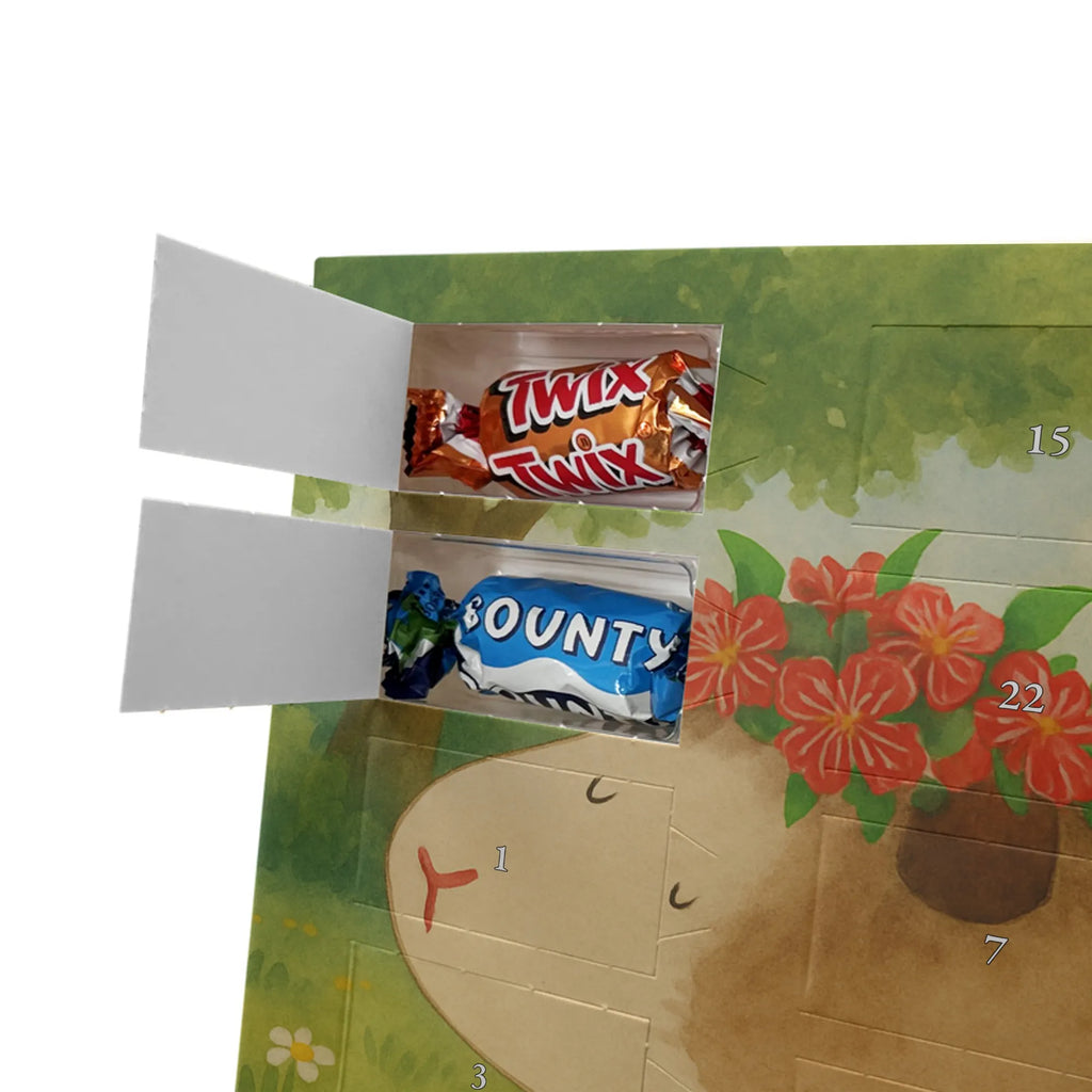 Chocolate advent calendar Guinea pig wisdom Design card, gift ideas, gifts, small animals, cute, cute animal motives, hand drawn, funny sayings, good mood, special gifts, animal lover, wonderland, saying, wisdom, reality, flower child, guinea pig, wonder