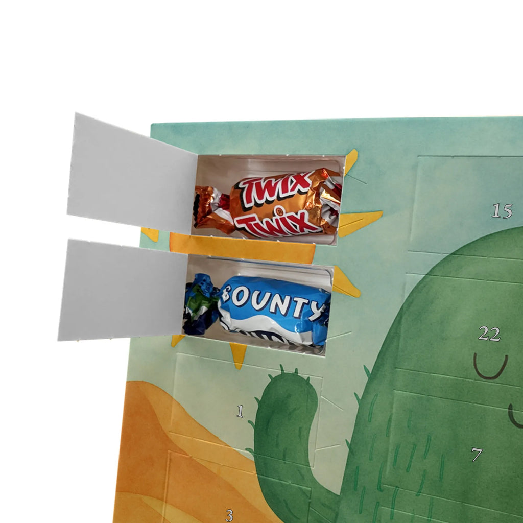 Chocolate advent calendar cactus Sun Design cactus, cactuses, plants, cactus plant, small green cactus, new start, divorce, separation, lovesickness, lovesickness gift, love cactus love, gift idea, adultery, sun, girlfriend