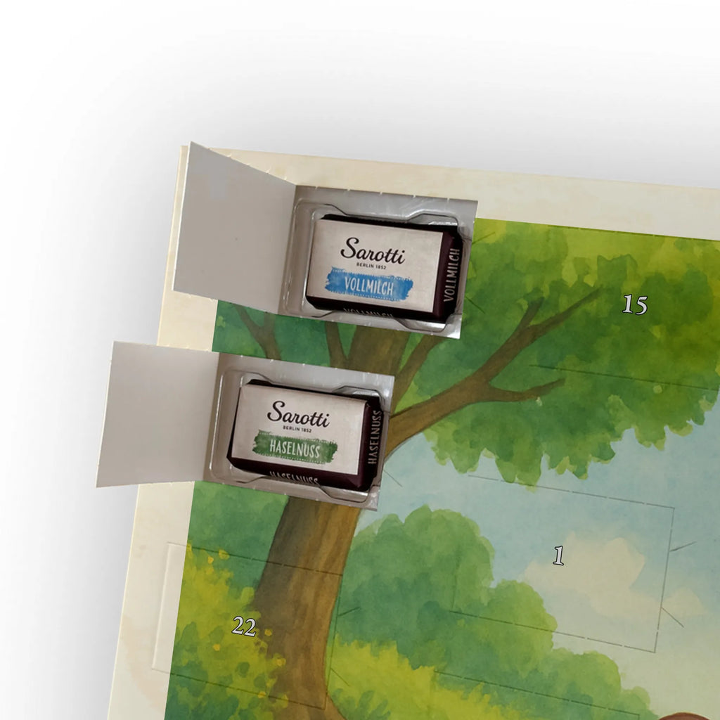 Chocolate advent calendar tortoise Pipes Design gift, gift ideas, cute, illustrated, tortoise, reptile, ancient creature, sweet, birthday gift, turtle gift items, funny turtle gifts, pet turtles, best friend, sister or daughter, turtle lover, new beginning, joy of life, separation, turtles