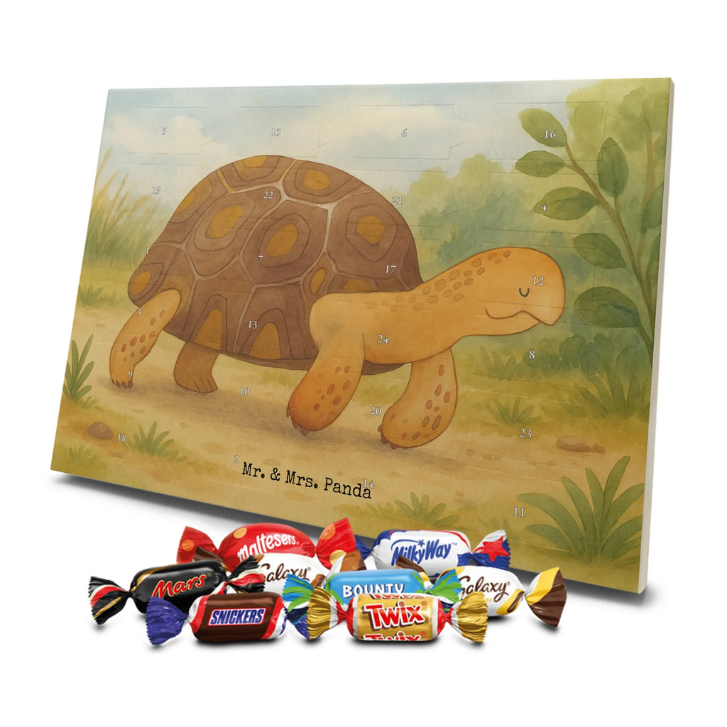 Adventskalender Schildkröte Marschieren Design adventskalender süßigkeiten, süßigkeiten kalender, schokolade adventskalender, kalender schokolade, Schoko Adventskalender, weihnachtskalender schoko, Weihnachtskalender, Schoko-Adventskalender, adventskalender schoko, Weihnachtskalender Schokolade, schokokalender, Schokoladen-Adventskalender, Schokoladen Adventskalender, schoko kalender, Schokoladen-Weihnachtskalender, kalender weihnachten, schokoladenkalender, Adventskalender, süßigkeiten adventskalender, Adventskalender Schokolade, Weihnachten Adventskalender, Weihnachts Kalender, pralinen adventskalender, schoko weihnachtskalender, adventskalender pralinen, schokoladen kalender, Meer, Urlaub, Meerestiere, Reiselust, Abenteuer, Neustart, Schildkröte, Schildkröten, Lieblingsmensch, Inspiration, Motivation, Get Lost