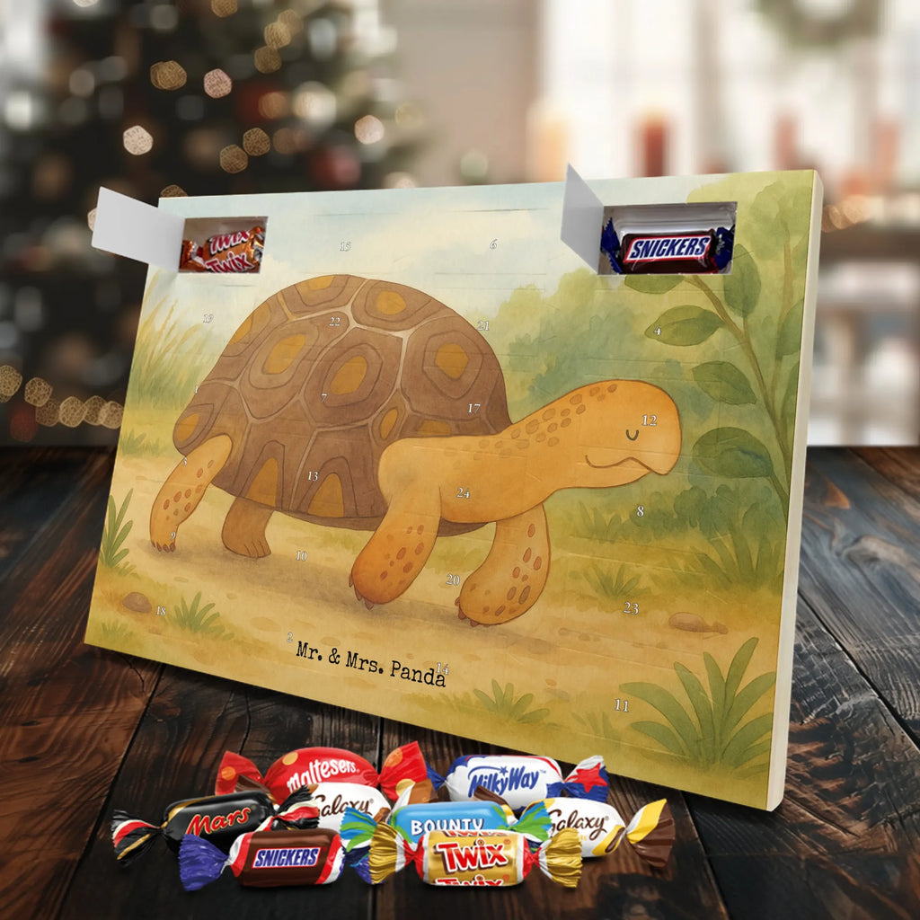 Adventskalender Schildkröte Marschieren Design adventskalender süßigkeiten, süßigkeiten kalender, schokolade adventskalender, kalender schokolade, Schoko Adventskalender, weihnachtskalender schoko, Weihnachtskalender, Schoko-Adventskalender, adventskalender schoko, Weihnachtskalender Schokolade, schokokalender, Schokoladen-Adventskalender, Schokoladen Adventskalender, schoko kalender, Schokoladen-Weihnachtskalender, kalender weihnachten, schokoladenkalender, Adventskalender, süßigkeiten adventskalender, Adventskalender Schokolade, Weihnachten Adventskalender, Weihnachts Kalender, pralinen adventskalender, schoko weihnachtskalender, adventskalender pralinen, schokoladen kalender, Meer, Urlaub, Meerestiere, Reiselust, Abenteuer, Neustart, Schildkröte, Schildkröten, Lieblingsmensch, Inspiration, Motivation, Get Lost