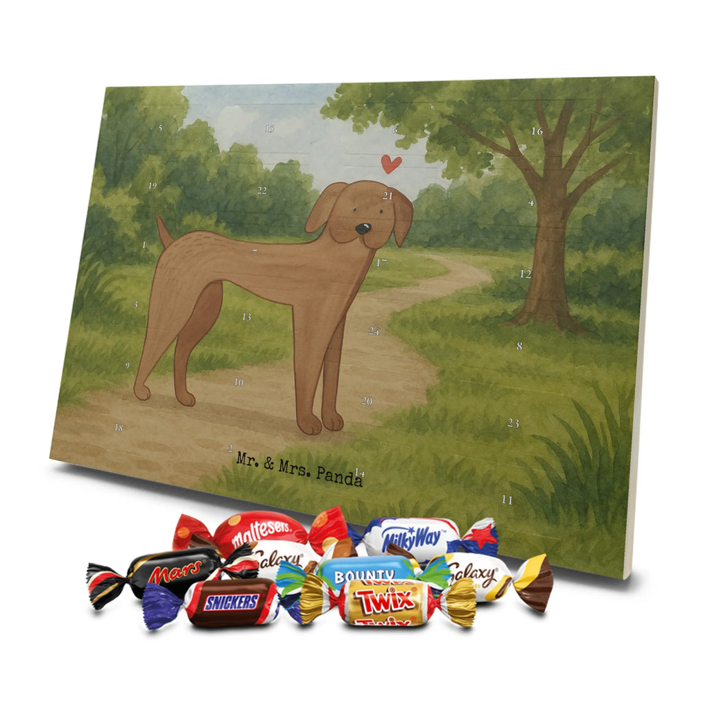 Chocolate advent calendar Dog mastiff Design dog breed, mutt, hound, woof, dog mama, love dogs, love for dogs, dog decorative items, bag with dog print, funny gifts for dog owners, what do you give a dog lover, Christmas gifts for dogs, gifts for dogs, dog sayings, Dogs
