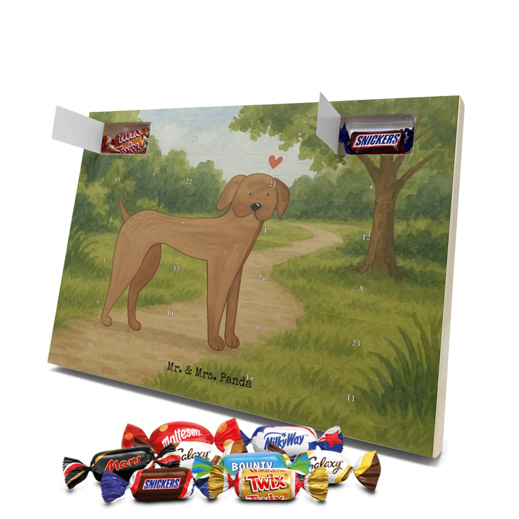 Chocolate advent calendar Dog mastiff Design dog breed, mutt, hound, woof, dog mama, love dogs, love for dogs, dog decorative items, bag with dog print, funny gifts for dog owners, what do you give a dog lover, Christmas gifts for dogs, gifts for dogs, dog sayings, Dogs